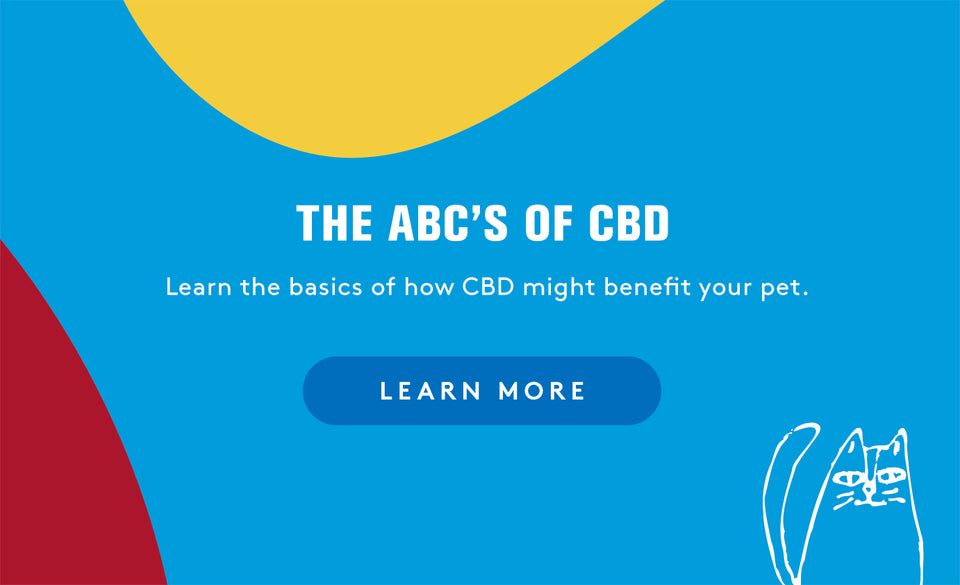 The ABCs of CBD. Learn the basics of how CBD might benefit your cat, dog or pet. Learn more